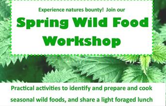 Poster for Wild Food Workshop