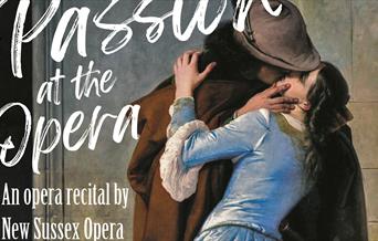 Passion at the Opera