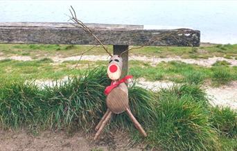 Winter Reindeer Trail