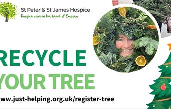 Recycling Christmas trees - poster with details