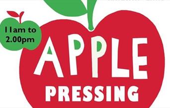 apple illustration