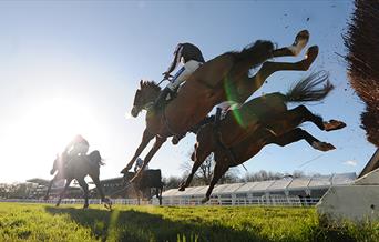 Race horses flying over the fence at Plumpton