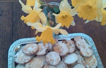 Easter & Spring Open Night, Lewes Saturday Folk Club