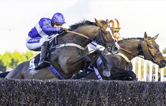Horses jumping a steeplechase fence