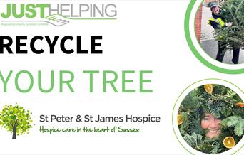 Christmas Tree Recycling