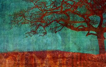 sussexartscollective-2