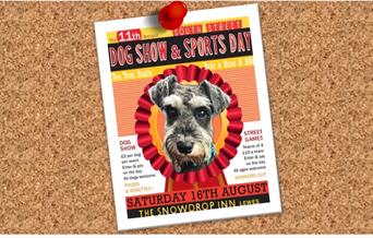 pinboard with a poster image of a dog and the show details