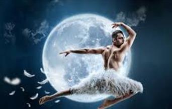 Male dancer in Matthew Bourne's Swan Lake