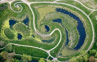 Heart of Reeds, Railway Land - photographed from above