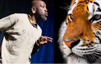 Storyteller Tuup and a tiger