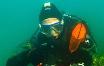 Come Dive into the Wonderful World of Seaweed by Dr Gerald Legg