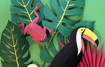 Tropical picture of toucan and tree frog