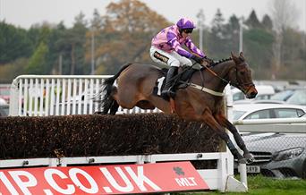 Plumpton races - horse jumping fence
