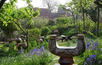Chris Lewis' garden