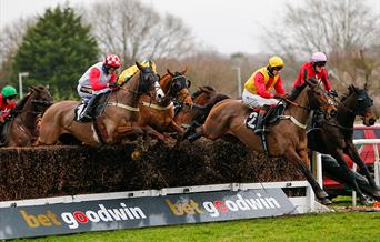 Racehorses clearing steeplechase fence at Plumpton