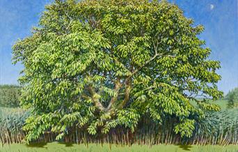 Plain: New Paintings by Julian Bell