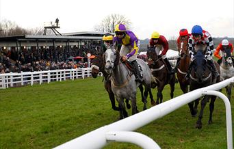 Race horses galloping up the track