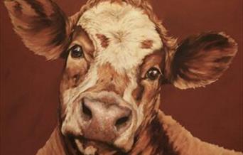 John Marshall: The Cow Painter