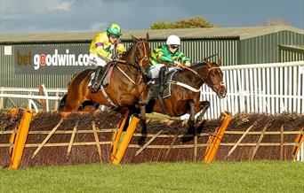 Jump Season Preview Raceday at Plumpton - horse jumping hurdle