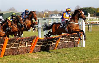 RABI Raceday