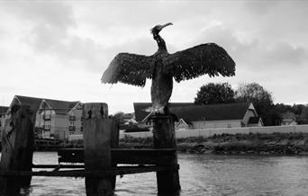 Newhaven Festival Film Screening: Won't Be Druv