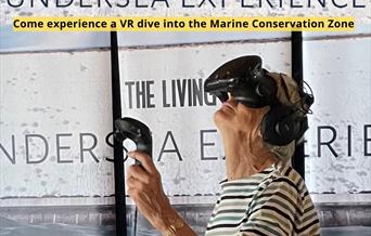 The Living Coast Undersea Experience