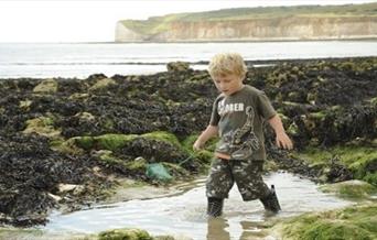 Rockpooling, Seaford