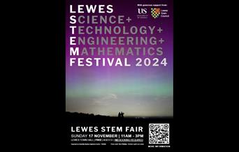 Details of Stem Fair against a night sky