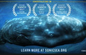 Sonic Sea : Pells Pool Film Nights
