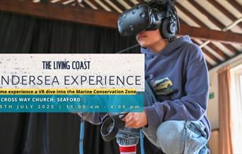 Enjoying the Living Coast Undersea Experience