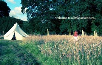 Secret Campsite, Lewes