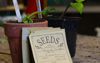 Propagation Workshop