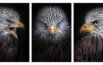 Seaford Photographic Society's Annual Exhibition