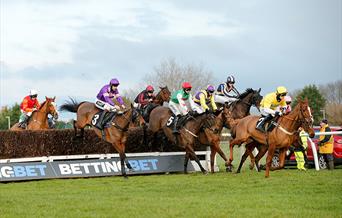 Sussex National Raceday