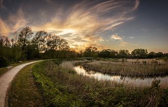 Railway Land Nature Reserve