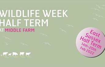 Wildlife Week (East Sussex Half Term)