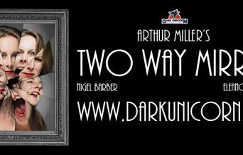 Two Way Mirror by Arthur Miller