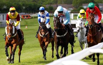 Plumpton Racecourse