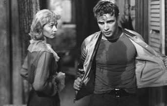 Tennessee Williams Season
