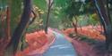 Forest scene