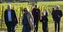 Walking through vineyards