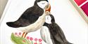 Illustration of puffins