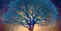 Tree painting