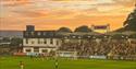 the dripping pan