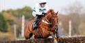 Racehorse jumping fence at Plumpton racecourse