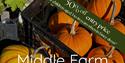 pumpkins and details of promotion