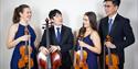 Resol String quartet