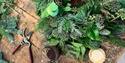 Wreath making