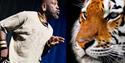 Storyteller Tuup and a tiger