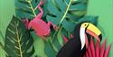Tropical picture of toucan and tree frog